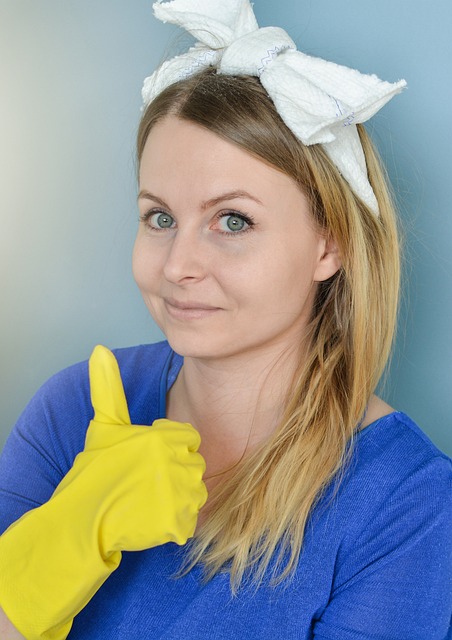 úklidová firma