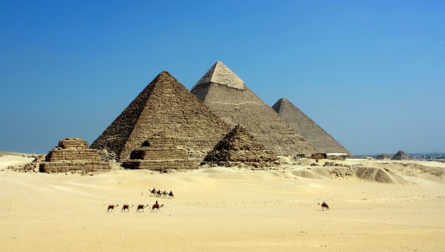 velbloudi u pyramid