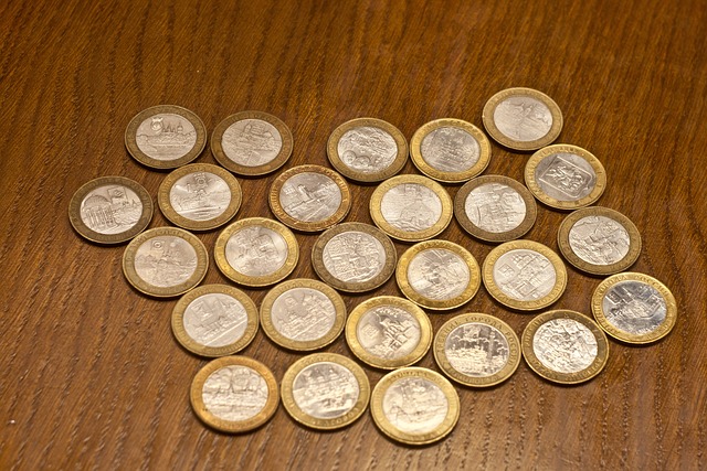 cizí mince